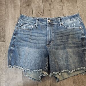 Judy Blue Denim Women's Shorts Size 1XL